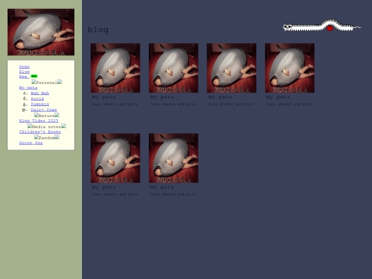 blog screenshot