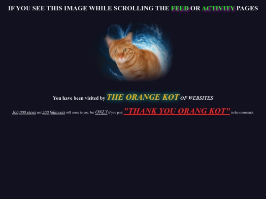 misc/kot screenshot