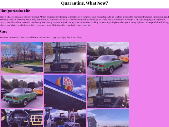 Quarantine screenshot