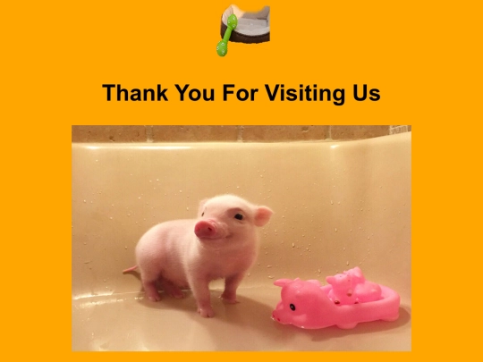 class/pig screenshot