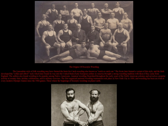 digportpk/newtimewrestling/oldfreestyle screenshot
