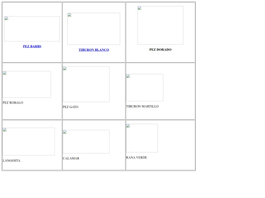 biancacg/PAGINA 1 screenshot