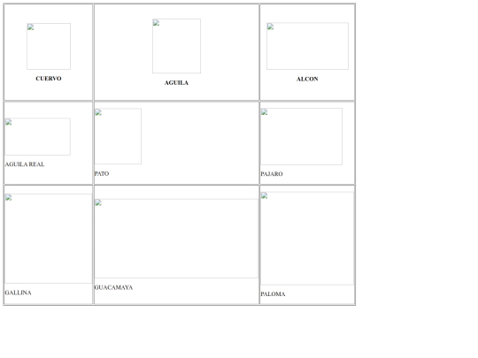 biancacg/PAGINA 3 screenshot