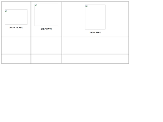 biancacg/PAGINA 4 screenshot