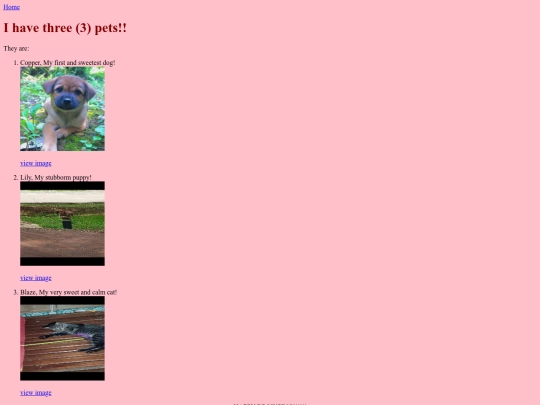 pets screenshot