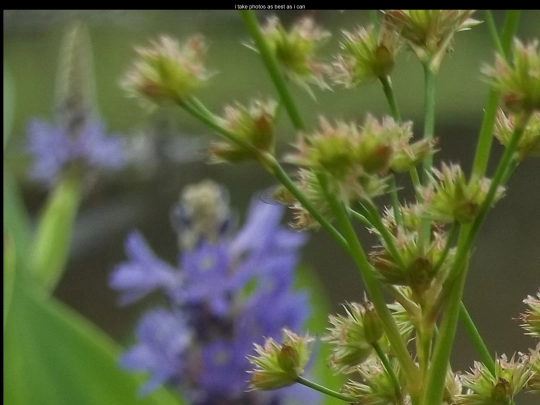 photography screenshot