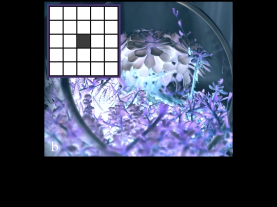 escape/breach screenshot