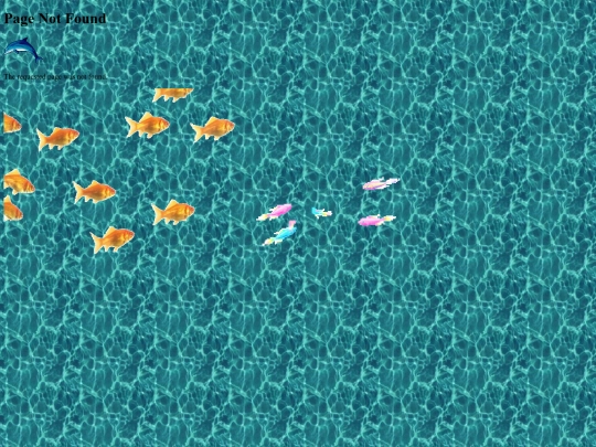 shipping screenshot