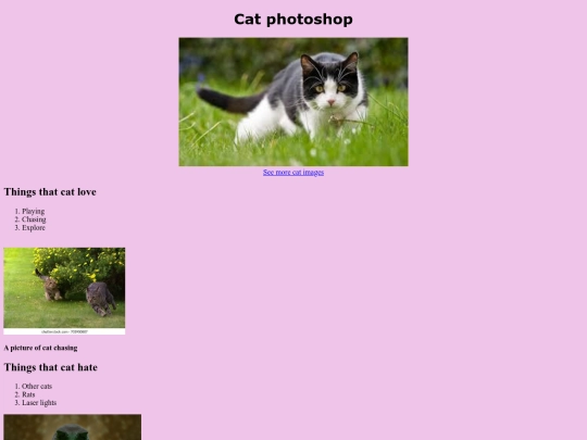cat photoshop/Cat photoshop screenshot