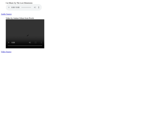 08/cat screenshot