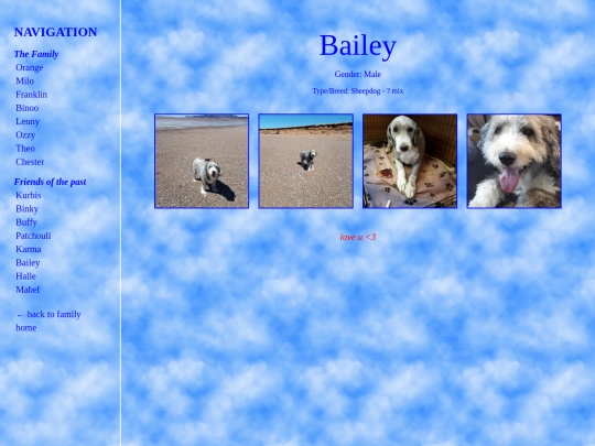 bailey screenshot