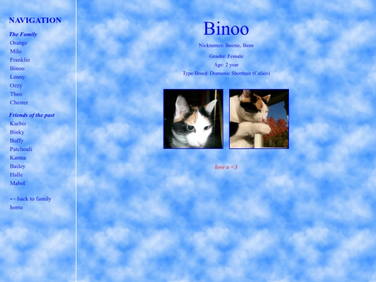 binoo screenshot