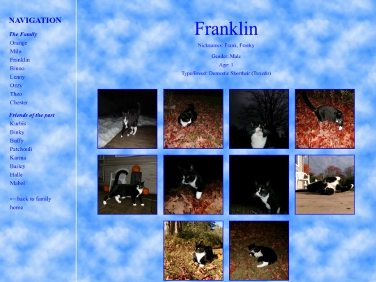 franklin screenshot