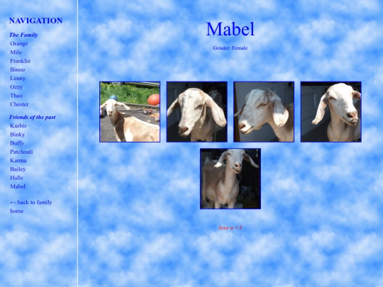 mabel screenshot