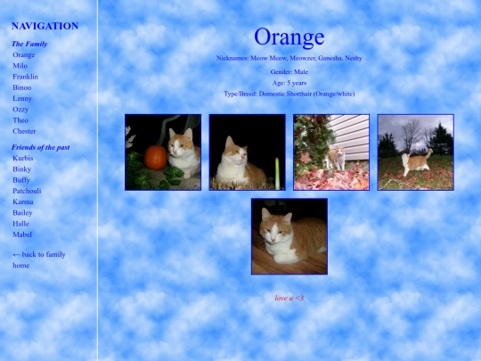 orange screenshot