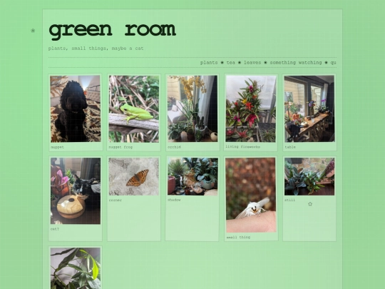 greenroom screenshot