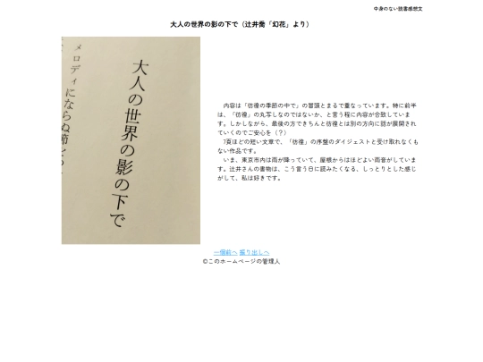 中身のない書評/大人の世界の影の下で screenshot