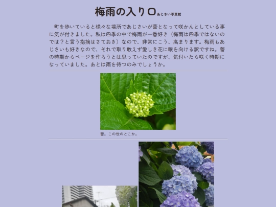 写真/梅雨の入り口 screenshot