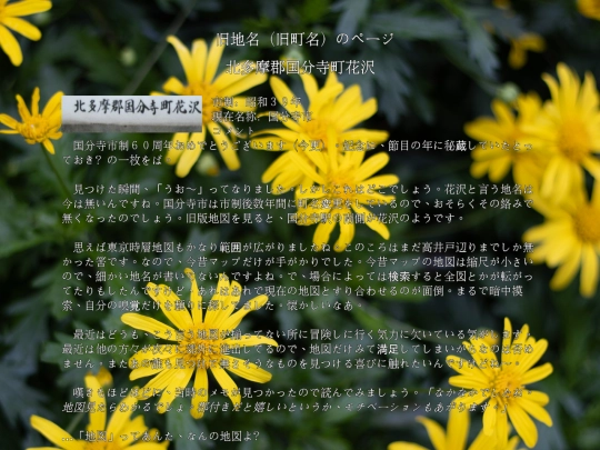 q/tokyo/flower screenshot