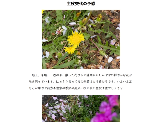 z/主役交代 screenshot