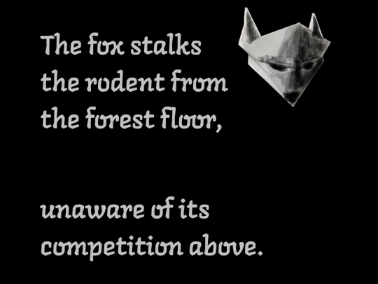 five screenshot