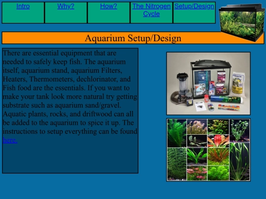 Setup_P4 screenshot