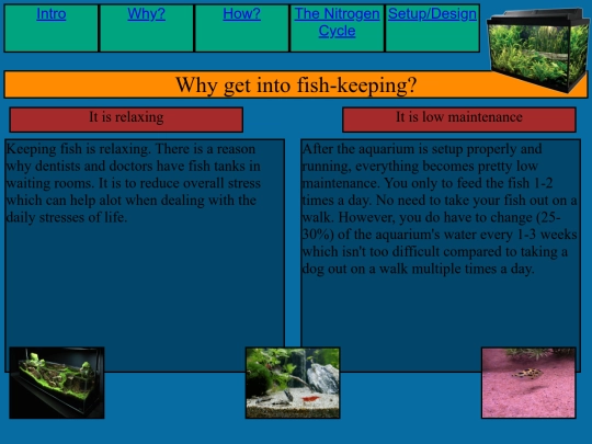 Why_P4 screenshot