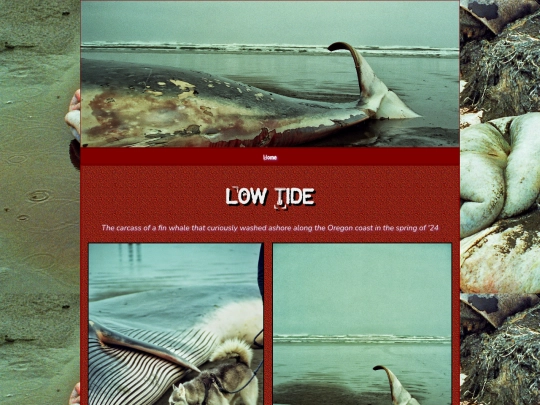 Low Tide/WashedAshore screenshot