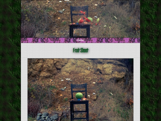 MelonHunt/MelonHunt screenshot