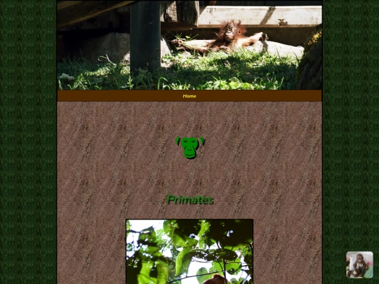 Primates/Primates screenshot