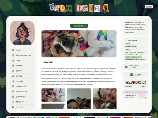 tiaozinho screenshot