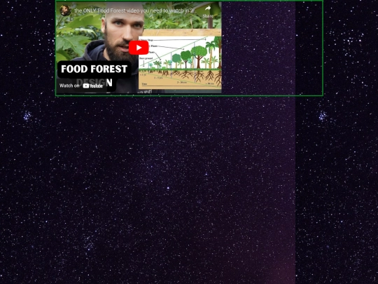 video screenshot