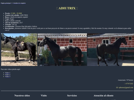 caballo1c screenshot