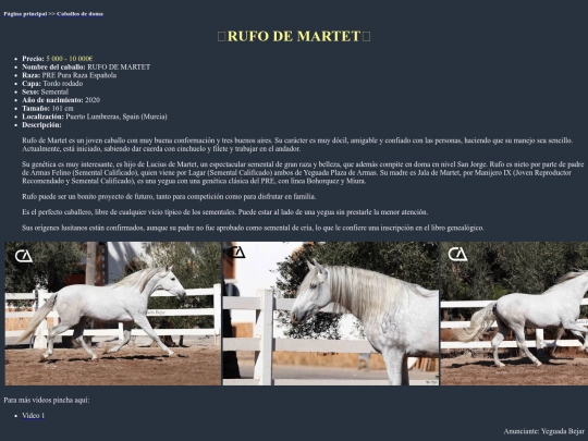 caballo1d screenshot
