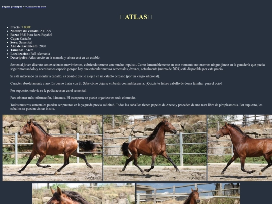 caballo1o screenshot
