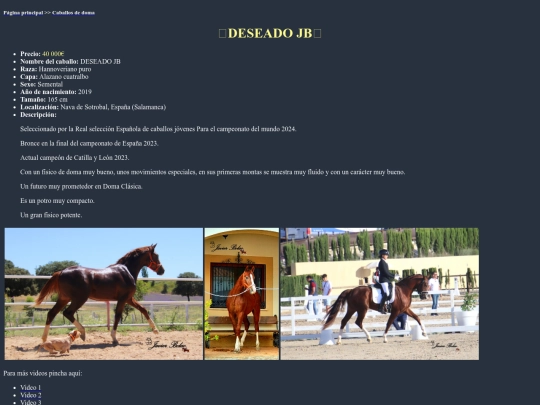 caballo2d screenshot