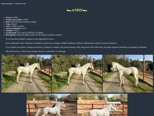 caballo2o screenshot