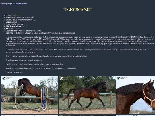 caballo3c screenshot