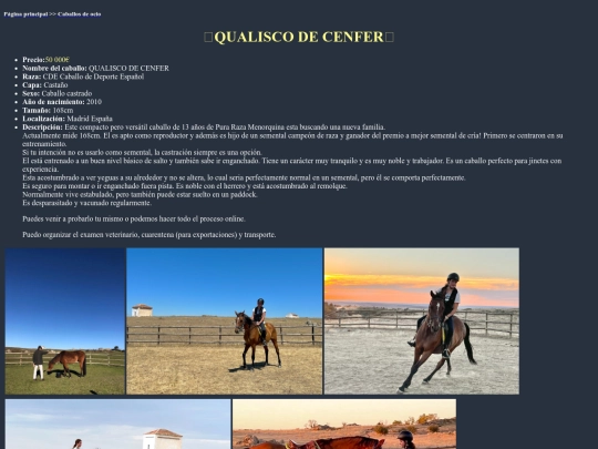caballo3o screenshot