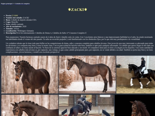 caballo4c screenshot