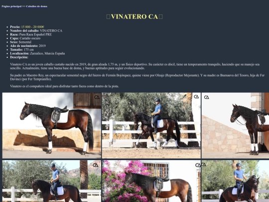 caballo4d screenshot