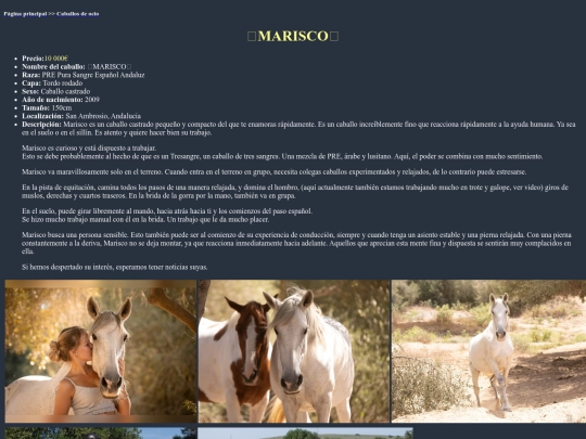 caballo4o screenshot