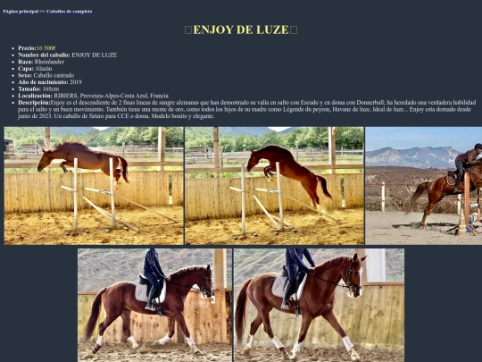 caballo5c screenshot