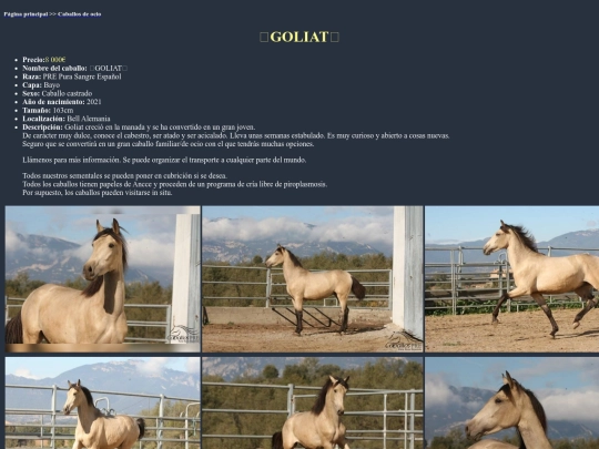 caballo5o screenshot