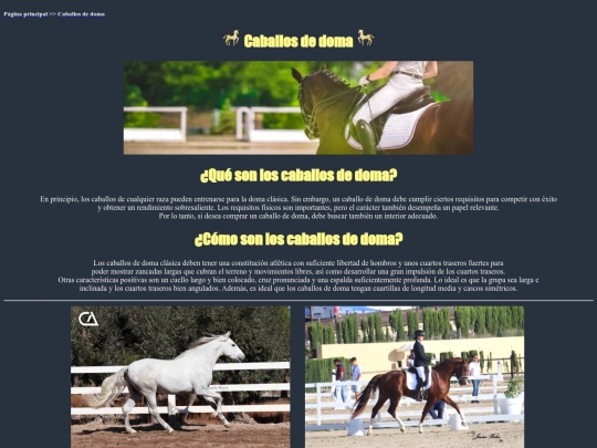 caballosdoma screenshot