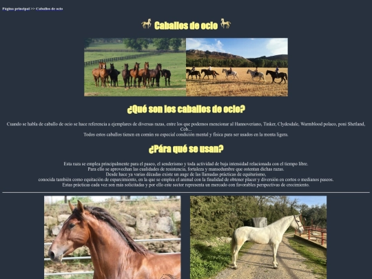 caballosocio screenshot