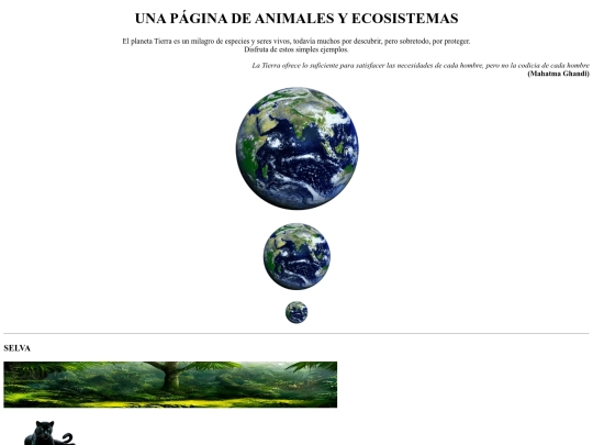 ejercicio05 screenshot