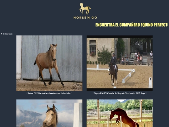 proyecto screenshot