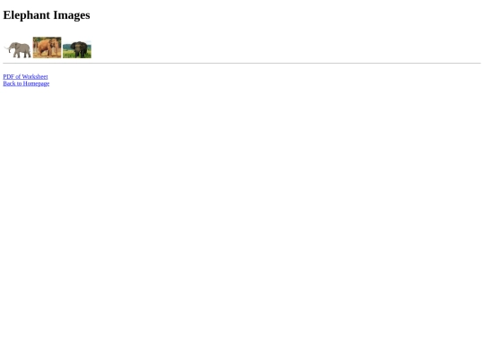 copyright screenshot