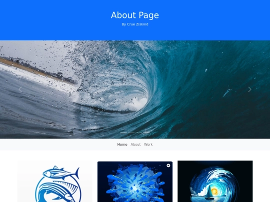 BSabout screenshot